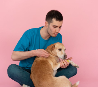 ZooUp Store - Negozio animali Catania con servizi personalizzati